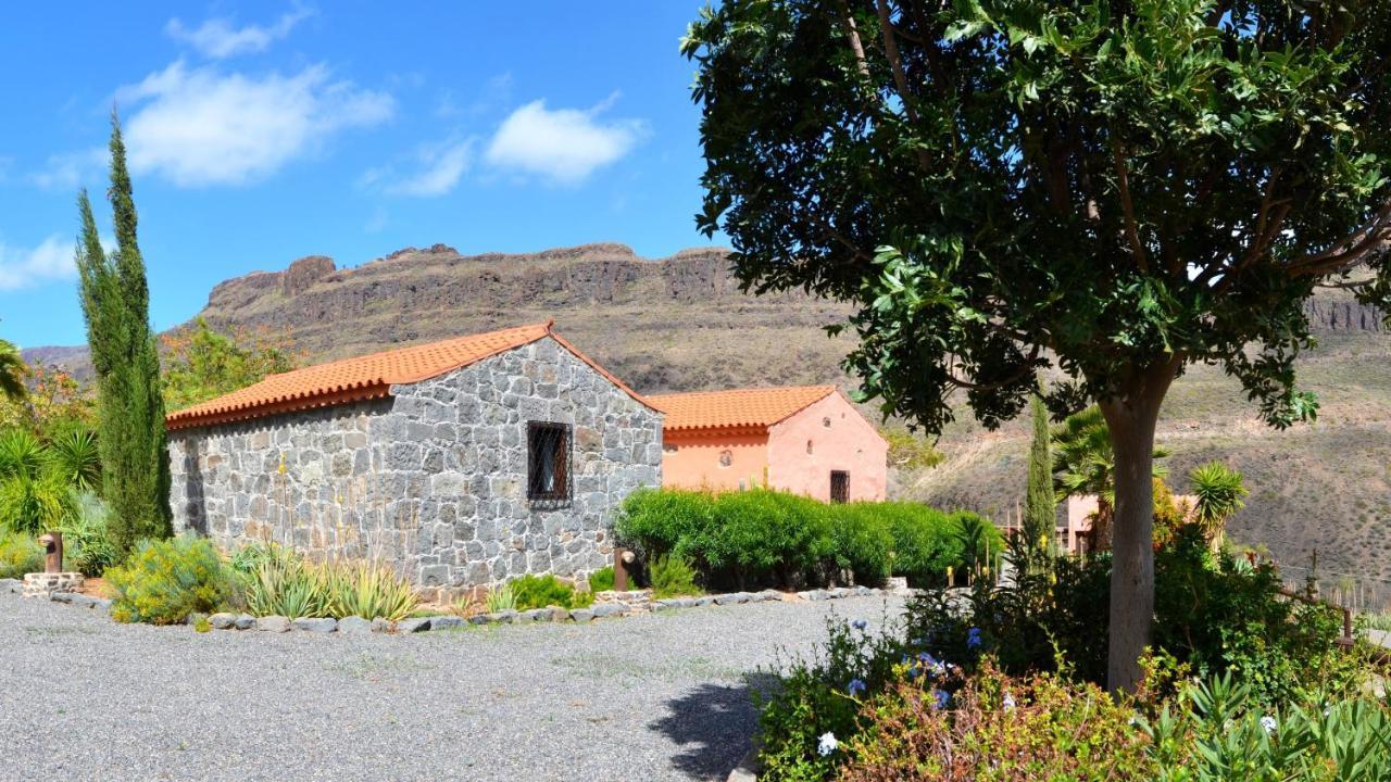Finca Las Olivas Maspalomas  Exterior foto