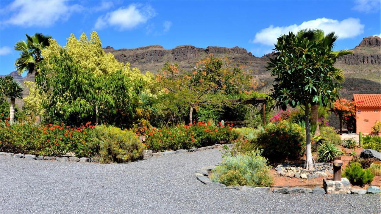 Finca Las Olivas Maspalomas  Exterior foto