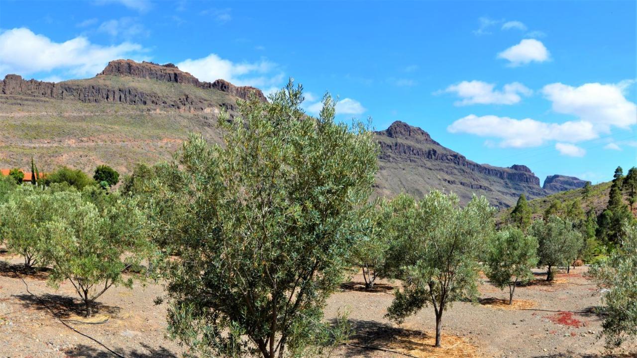Finca Las Olivas Maspalomas  Exterior foto
